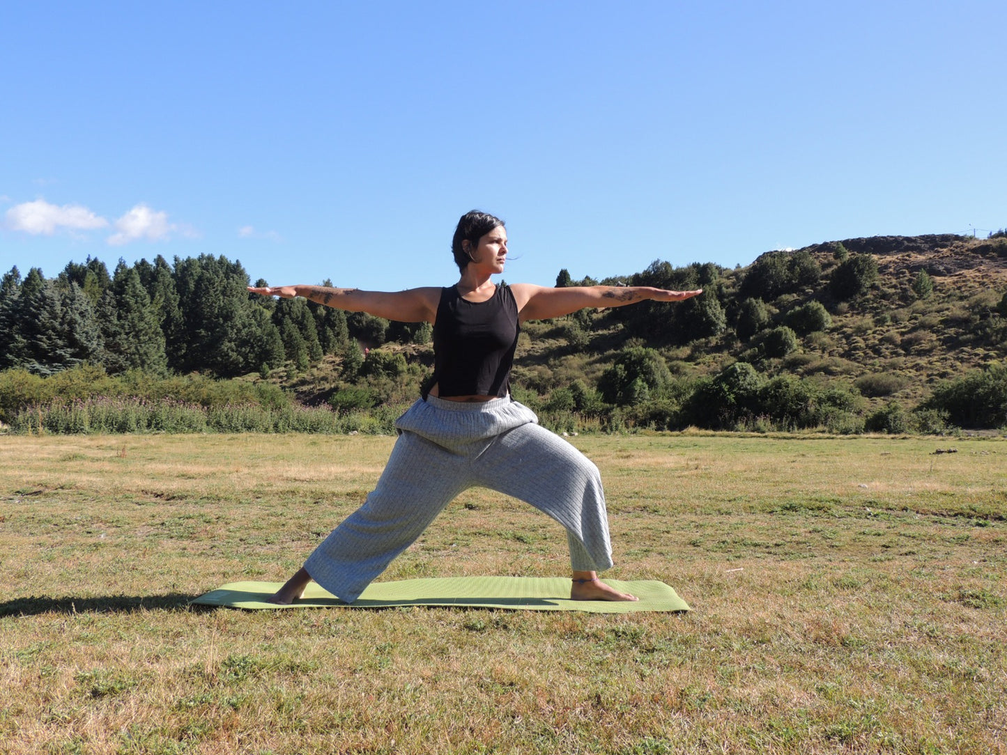 Andrea Entrenadora personal POWER YOGA, trabajamos fuerza y flexibilidad. CLASES ONLINE