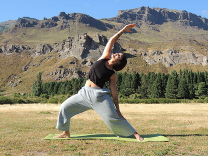 Andrea Entrenadora personal POWER YOGA, trabajamos fuerza y flexibilidad. CLASES ONLINE