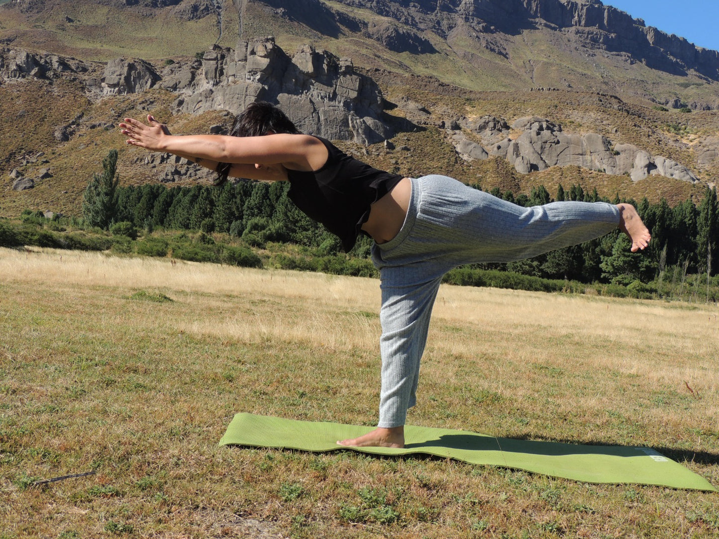 Andrea Entrenadora personal POWER YOGA, trabajamos fuerza y flexibilidad. CLASES ONLINE