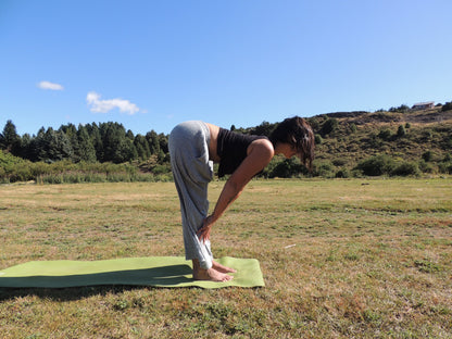 Andrea Entrenadora personal POWER YOGA, trabajamos fuerza y flexibilidad. CLASES ONLINE