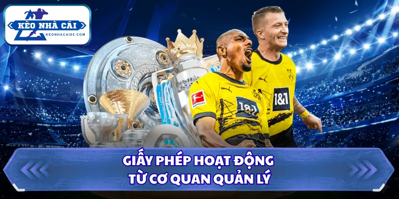 Giấy phép hoạt động từ cơ quan quản lý 