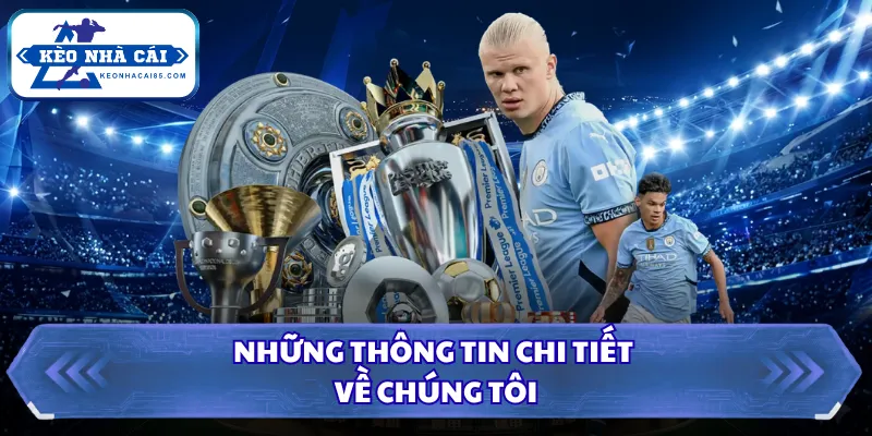 Những thông tin chi tiết về chúng tôi 